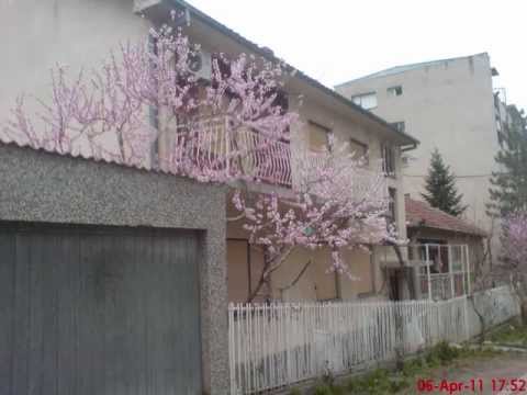 Eli Fara - Ora 2 e nates