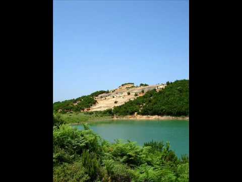 Moli - Ulu molo te dali hona