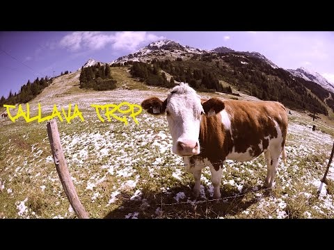 Chipsi ft Valton - Tallava Trip