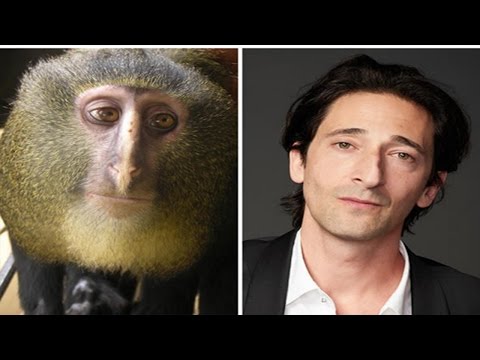  Lali Kadriu - Djemt e sodit 