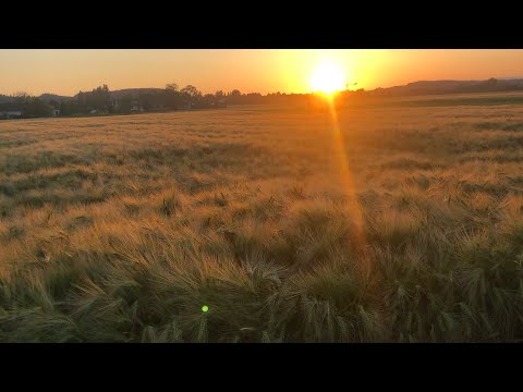 Naim Ukaj - Kur Nata Korqen e Mbulon