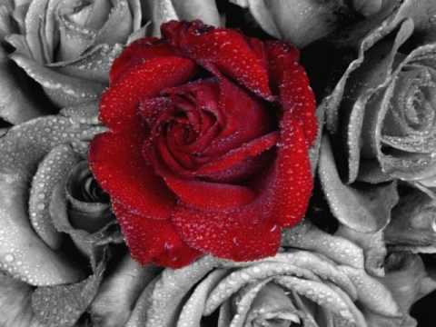  Gazmend Kelmendi - Fjalet qe na ndan