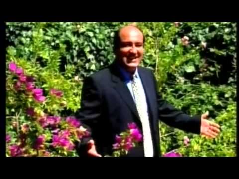 BUJAR QAMILI - Dallandyshes