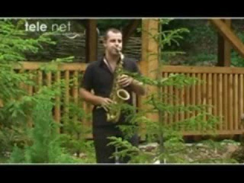 Mera Zyberi - Sot festojm synetin 