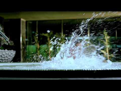 Kieda ft Stine - Kieda Show