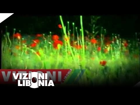  Remzie Osmani - Kjo Dashnia esht Kismet 