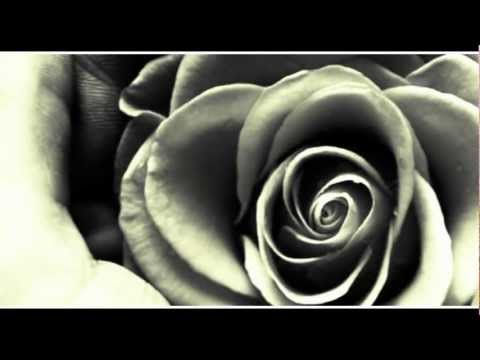 LammG ft Astro - Jeta um Mallkoj (Pjesa 3) 