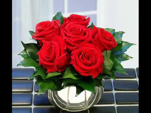 Agron Macula - Vetem Ti Moj E Dashur