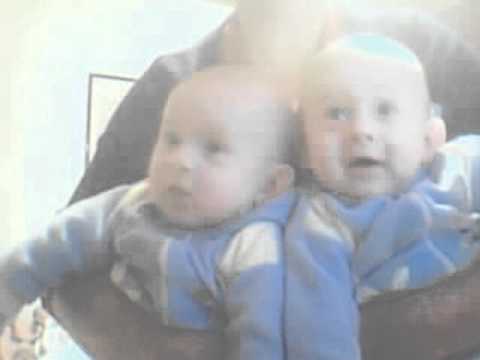 Liridon Bajgora - Pllumb i bard