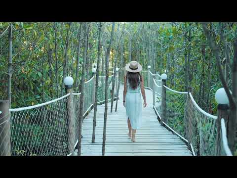 Cricket ft. Anxhelo Koci - Madam -Remix