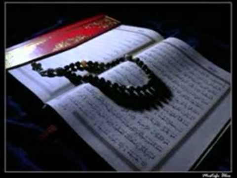 Adelina Jashari-Jetimi