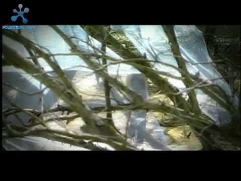 Mima - M fal te lutem