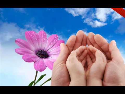 Adelina Jashari-Muhammedi as