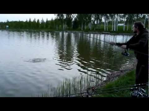 Tallava - Qyqek   By Slleky