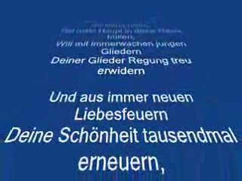 Gazi - Zemer hekur zemer gur