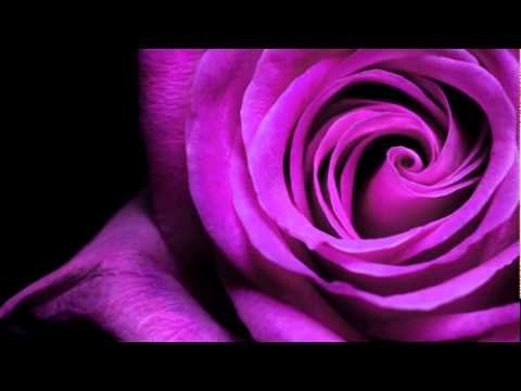 Vllezrit Abazi - Kurr se pasna dit 