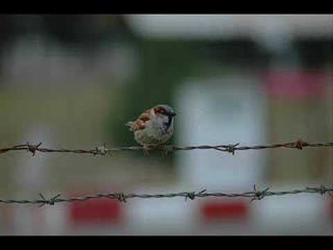 Sami Yusuf - Muhammad Part II