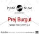 McQoppa ft Ekrem Gj - Prej Burgut