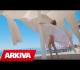 Ertila Koka - Moreno 