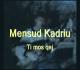 Mensur Kadriu - S harrohet dashuria e par