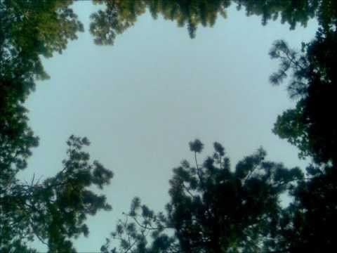 Vjollca Bucaj - Rrall e Permall 