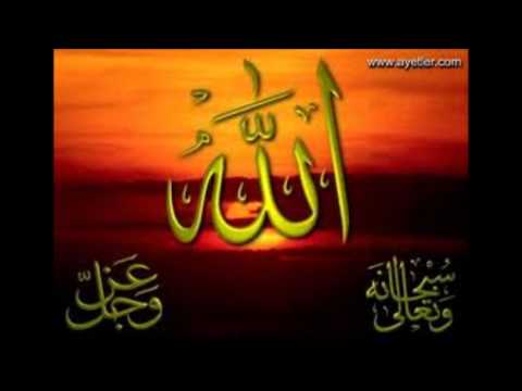 Floriani vogel - Oj Medine 