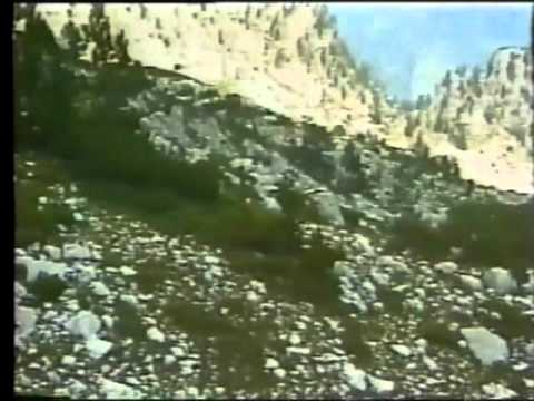 Vlezrit Qetaj - Keng per Sokol Rexha 